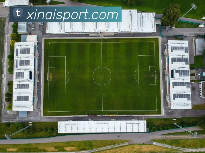 新爱体育平台生态图