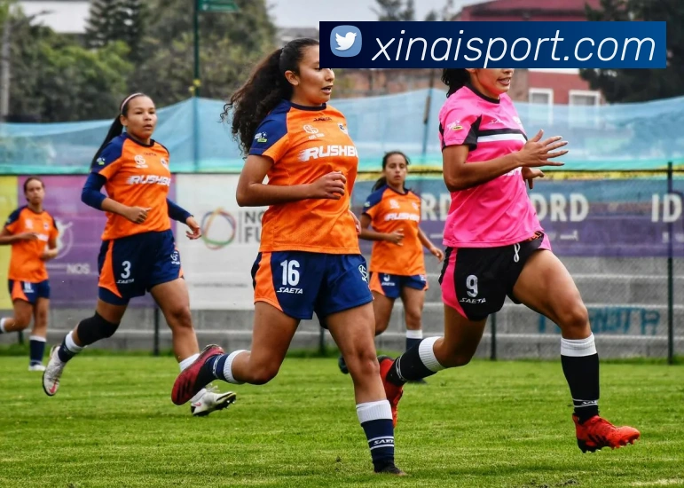 新爱体育全站App